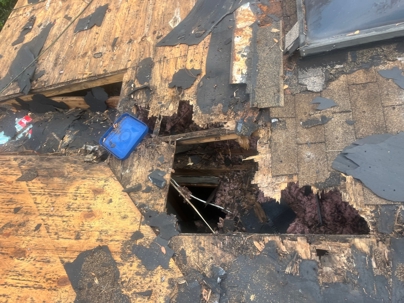 Wood rot damage on a Jacksonville home's fascia board and roof edge