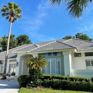 home with palm trees